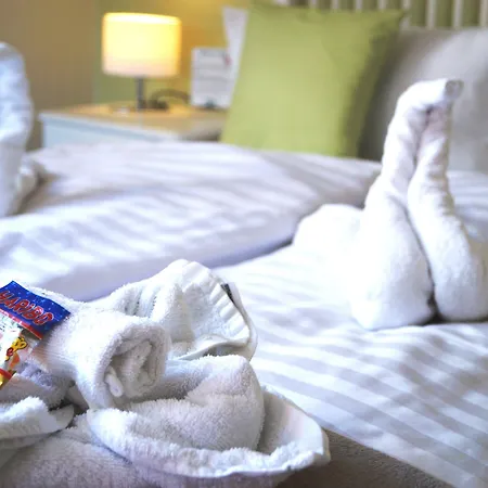 Ryokan Regiohotel Pfaelzer Hof - #familienfreundlich #preiswertuebernachten #harzurlaub #freeparking Wernigerode