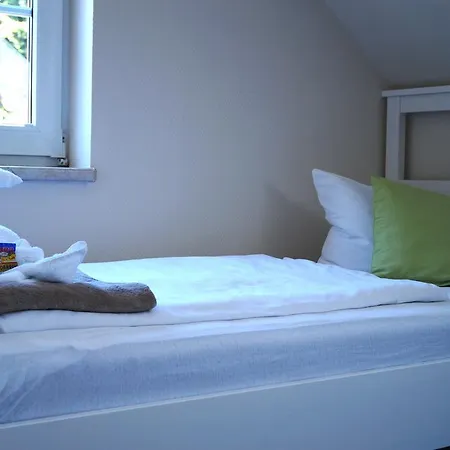 旅館 Regiohotel Pfaelzer Hof 3*
