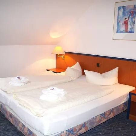 Regiohotel Pfaelzer Hof 3*