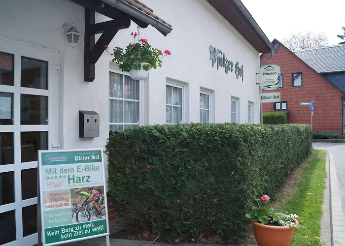 Ryokan Regiohotel Pfaelzer Hof - #familienfreundlich #preiswertuebernachten #harzurlaub #freeparking Wernigerode