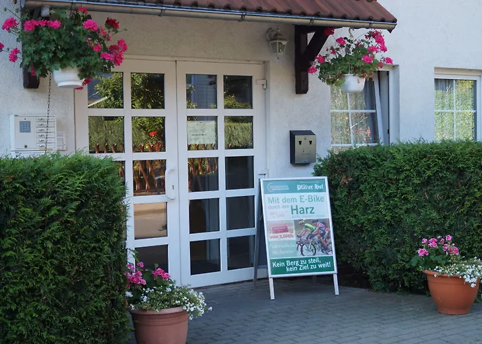 Regiohotel Pfaelzer Hof - #familienfreundlich #preiswertuebernachten #harzurlaub #freeparking 3*